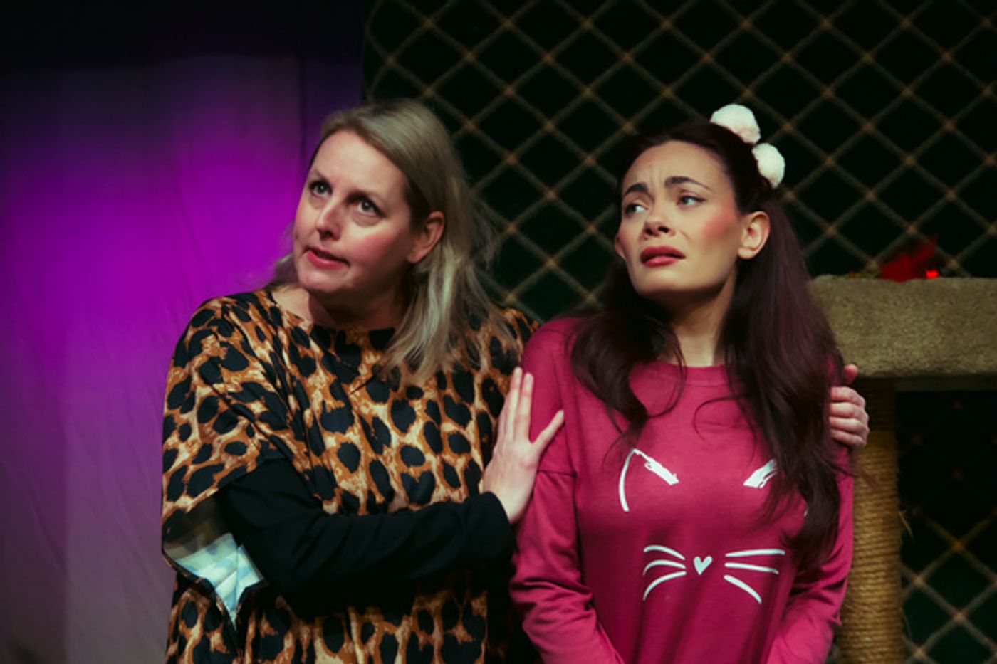 Photos: First Look at INDOOR/OUTDOOR at Little Theatre of Fall River  Image