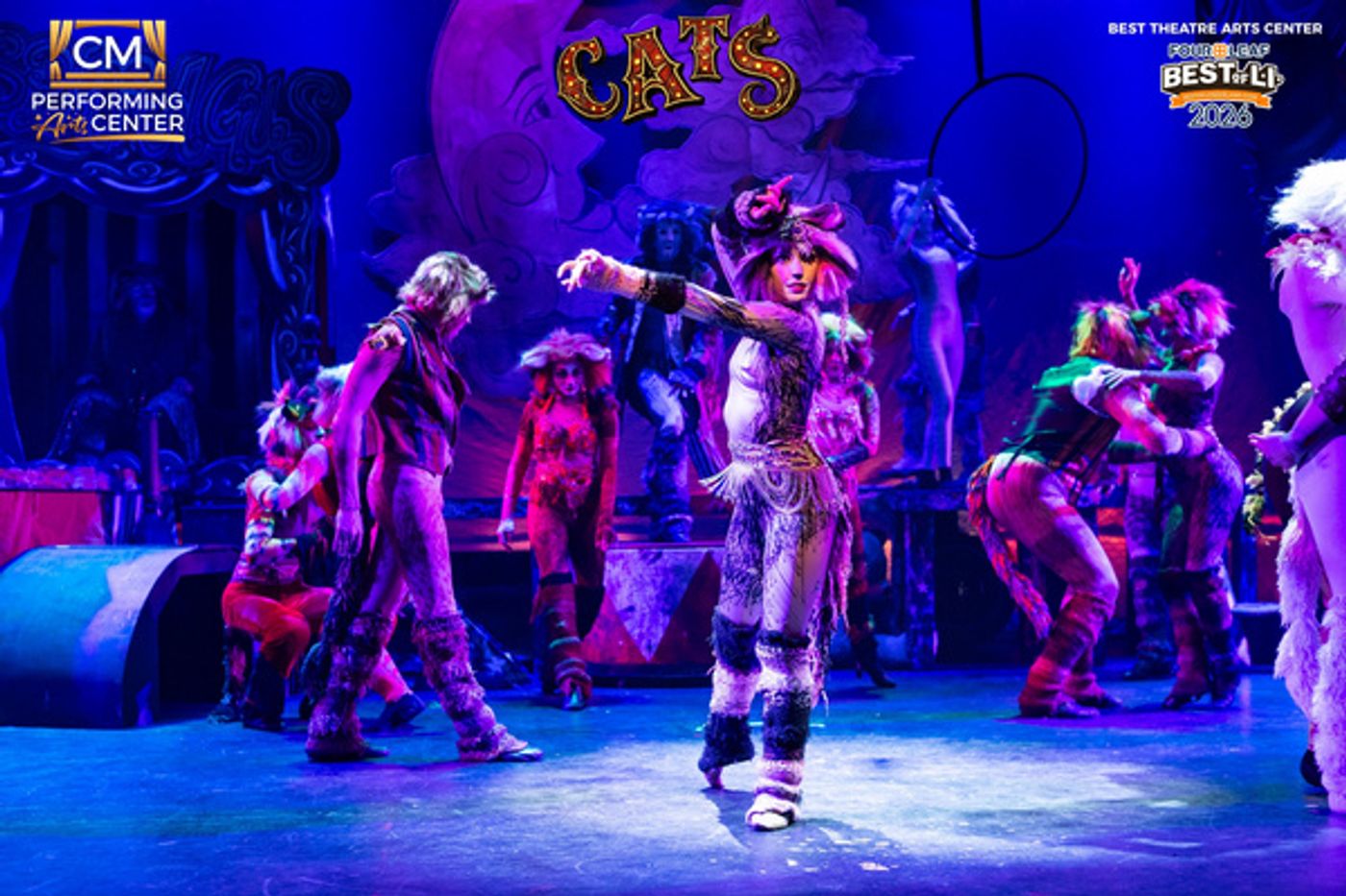 Photos: First Look at CATS THE MUSICAL at CM Performing Arts Center  Image