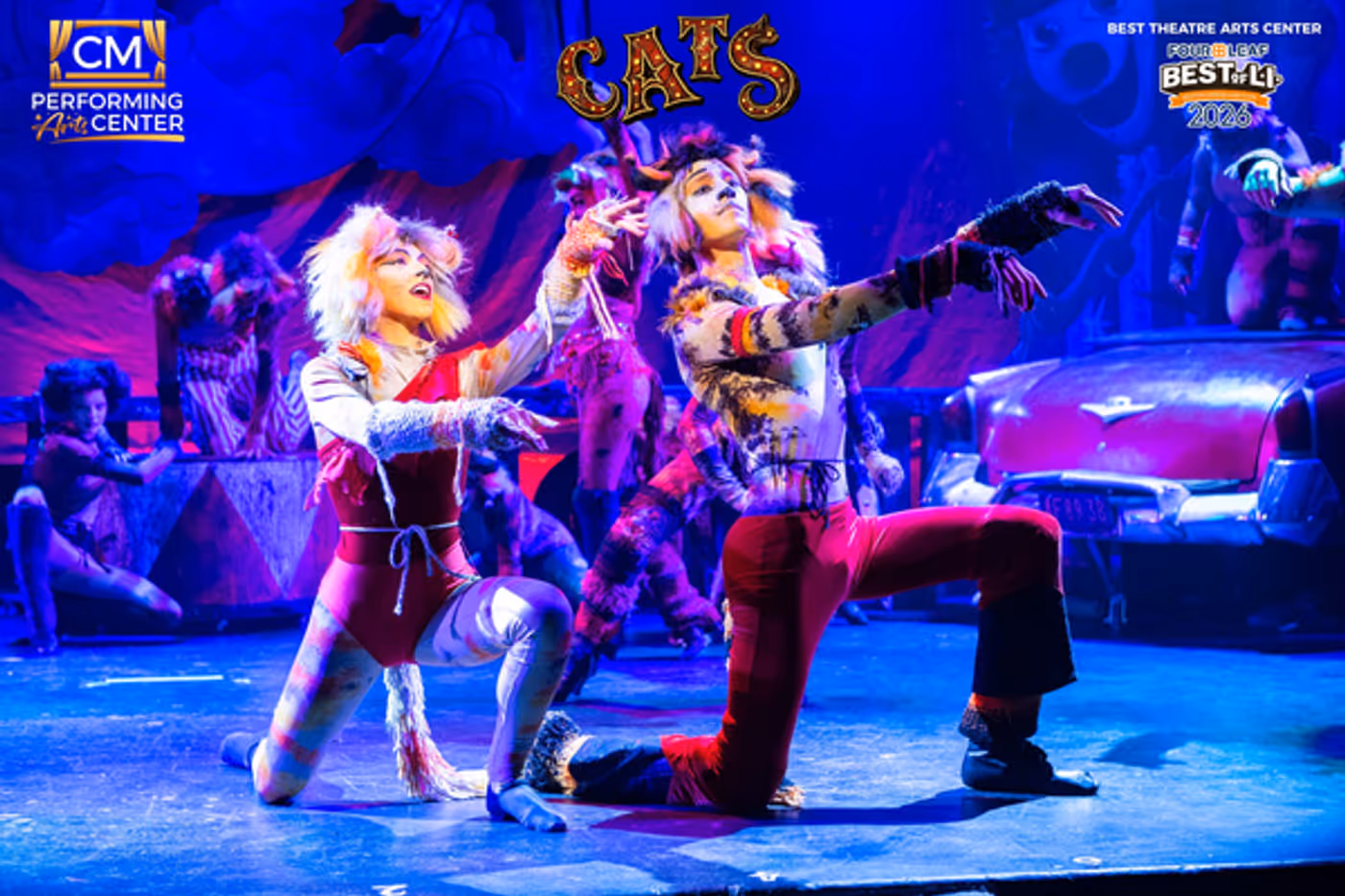 Photos: First Look at CATS THE MUSICAL at CM Performing Arts Center  Image