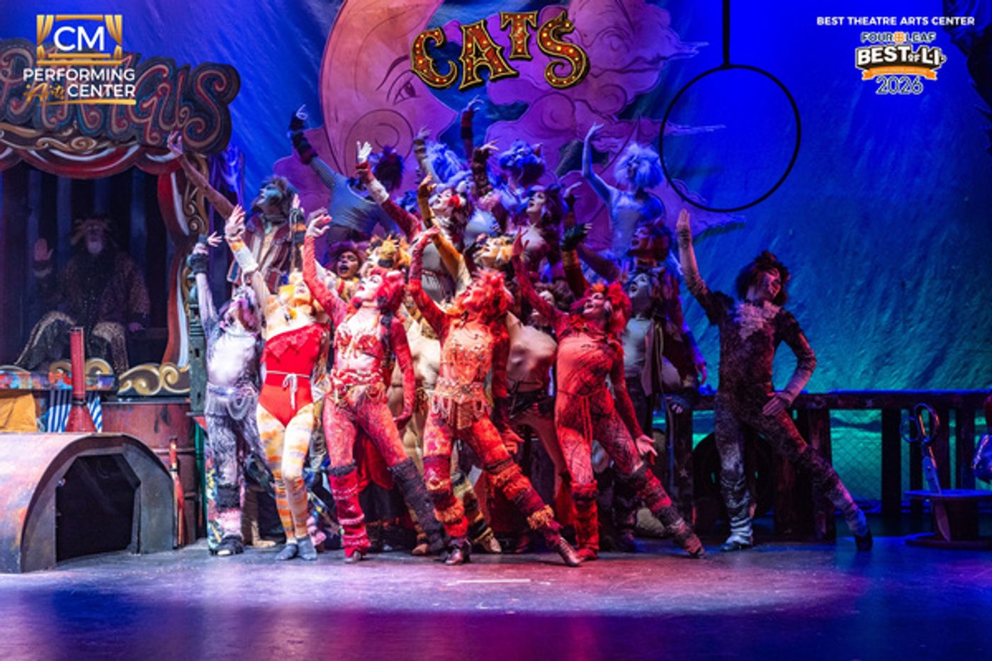 Photos: First Look at CATS THE MUSICAL at CM Performing Arts Center  Image