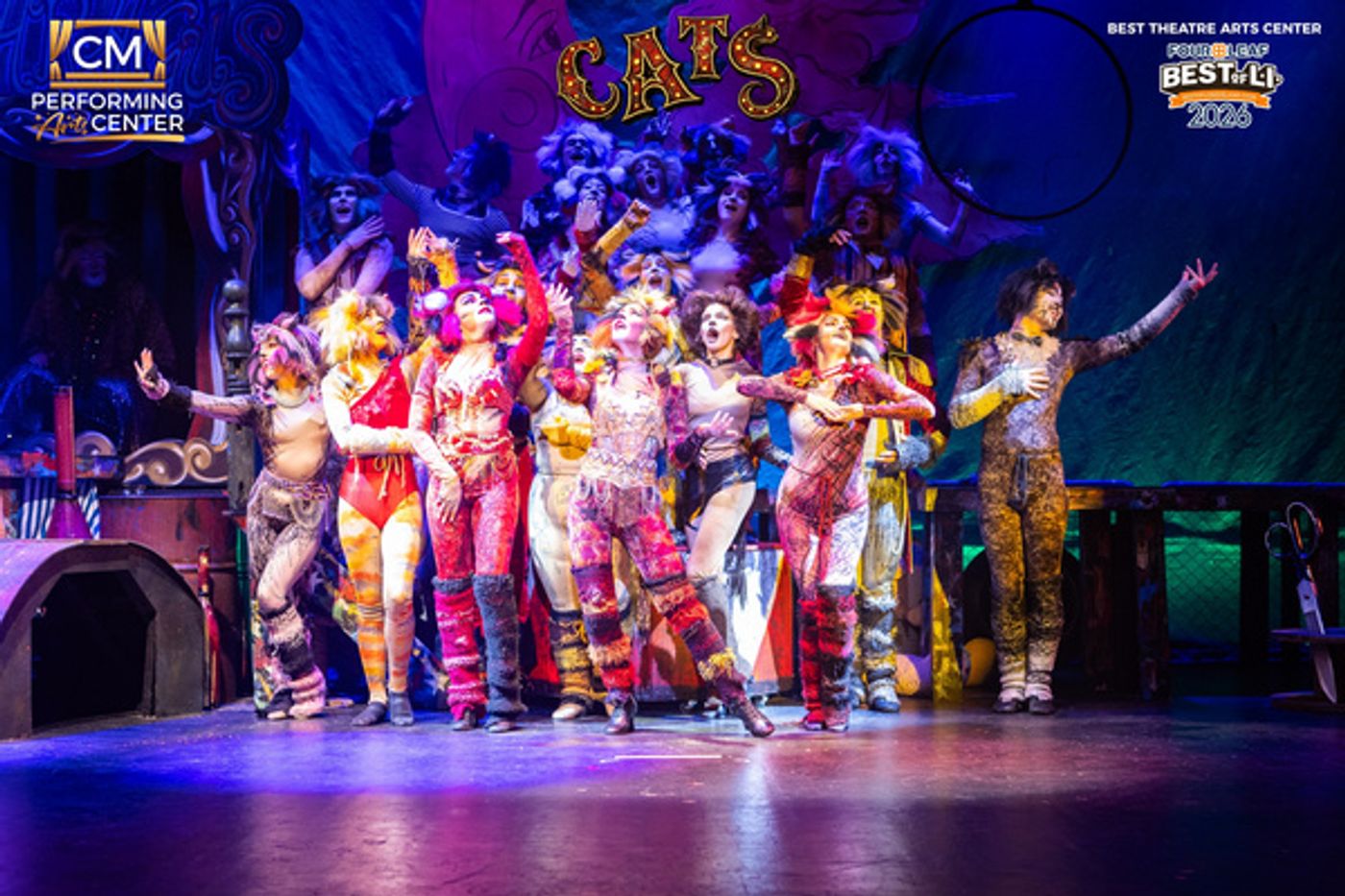 Photos: First Look at CATS THE MUSICAL at CM Performing Arts Center  Image
