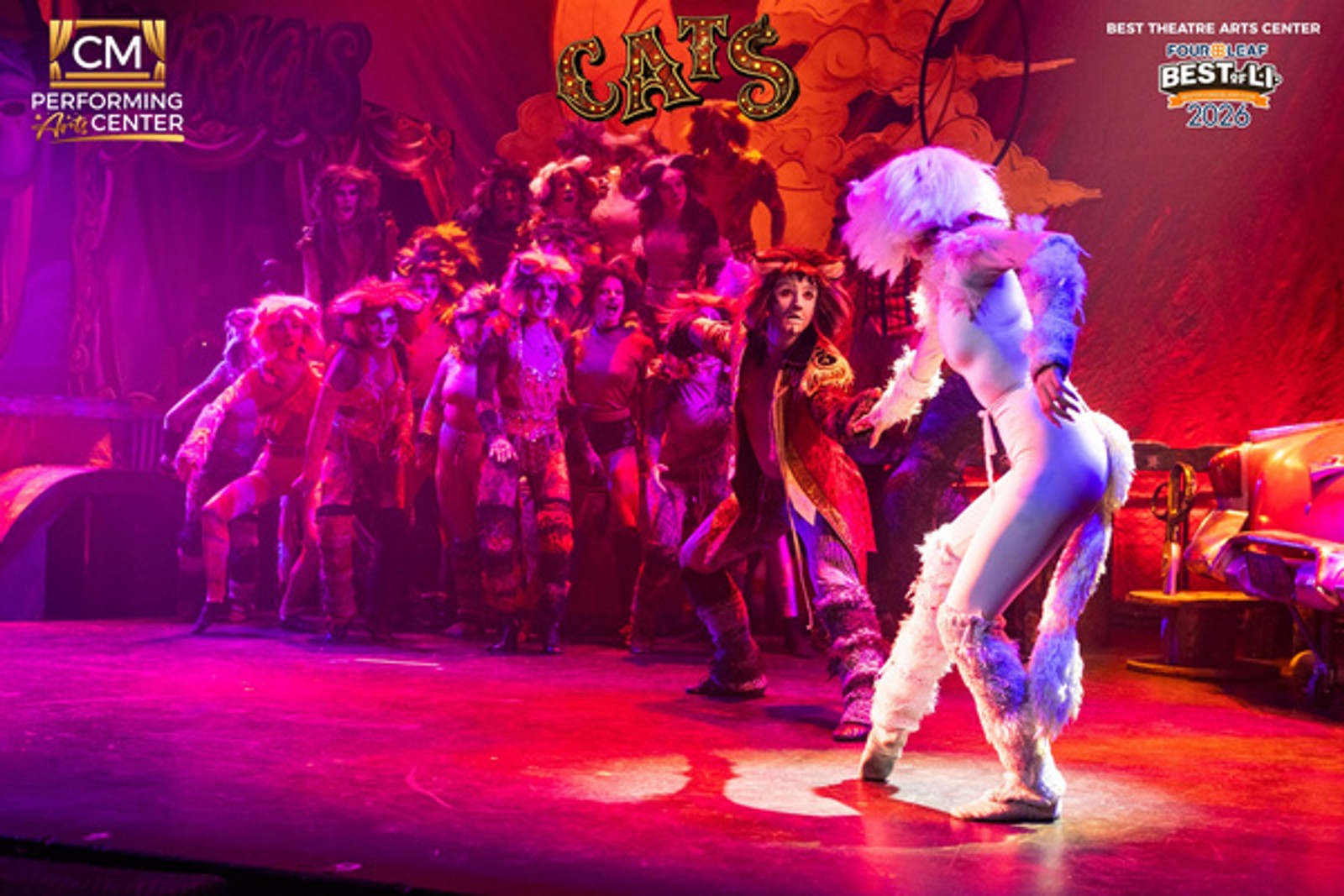 Photos: First Look at CATS THE MUSICAL at CM Performing Arts Center — photo 8 of 33