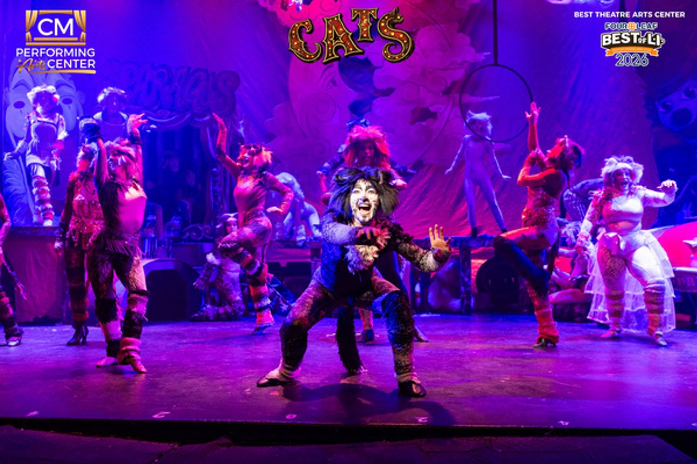 Photos: First Look at CATS THE MUSICAL at CM Performing Arts Center  Image