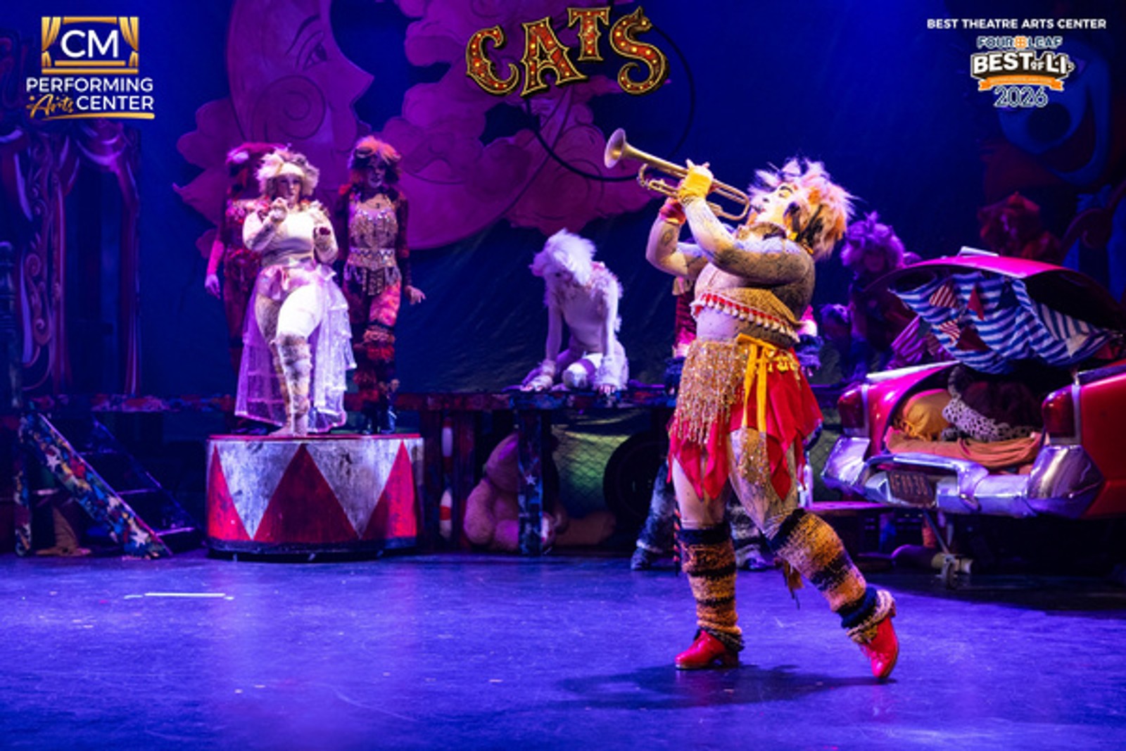 Photos: First Look at CATS THE MUSICAL at CM Performing Arts Center — photo 12 of 33