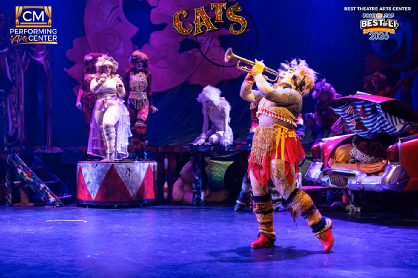 Photos: First Look at CATS THE MUSICAL at CM Performing Arts Center  Image