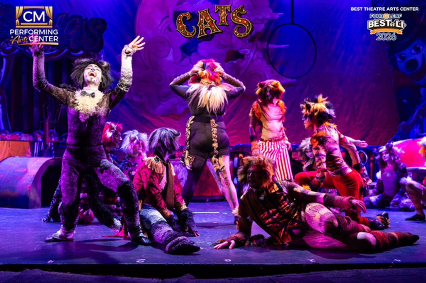 Photos: First Look at CATS THE MUSICAL at CM Performing Arts Center  Image