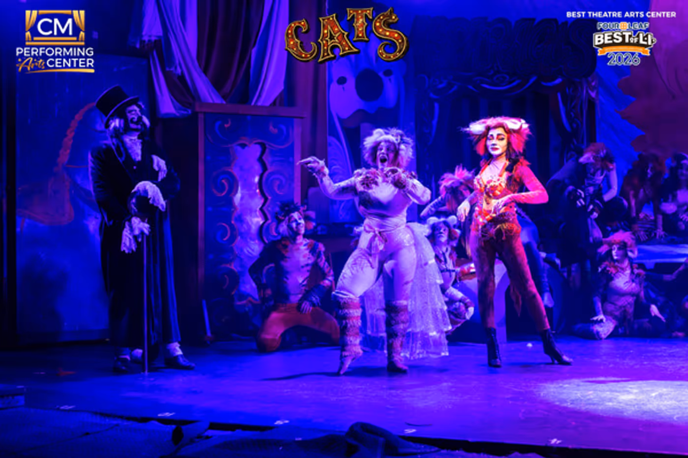 Photos: First Look at CATS THE MUSICAL at CM Performing Arts Center  Image