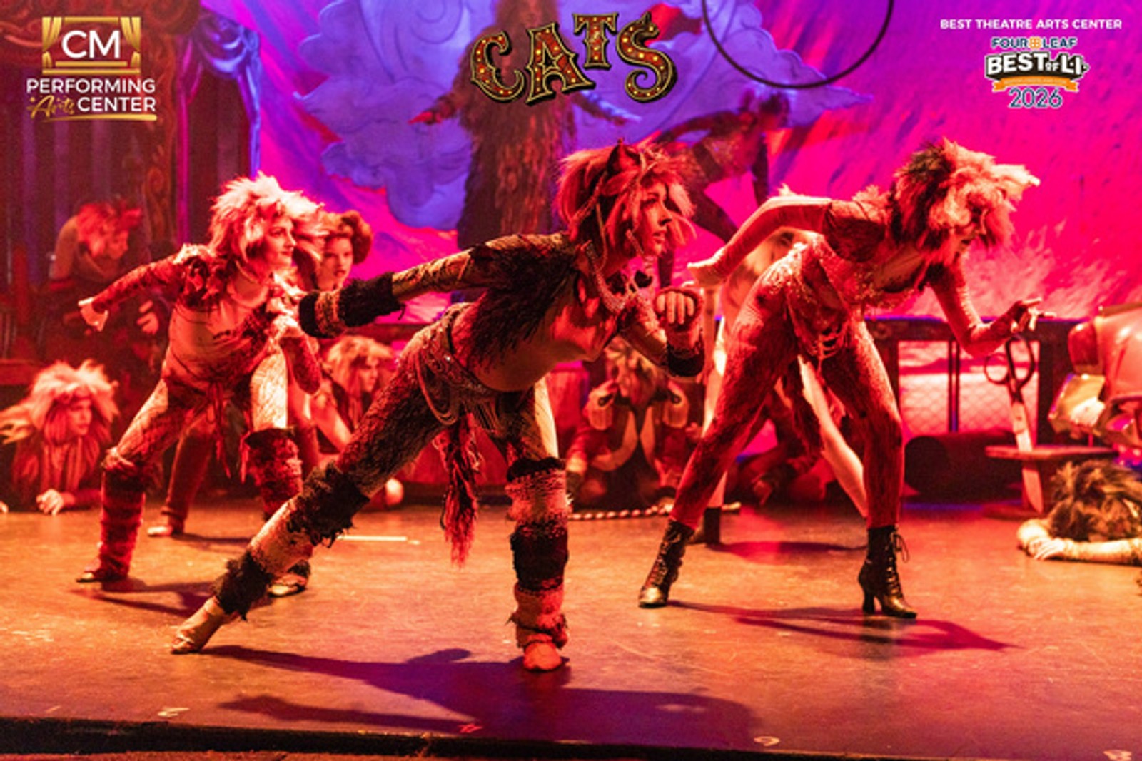 Photos: First Look at CATS THE MUSICAL at CM Performing Arts Center — photo 27 of 33