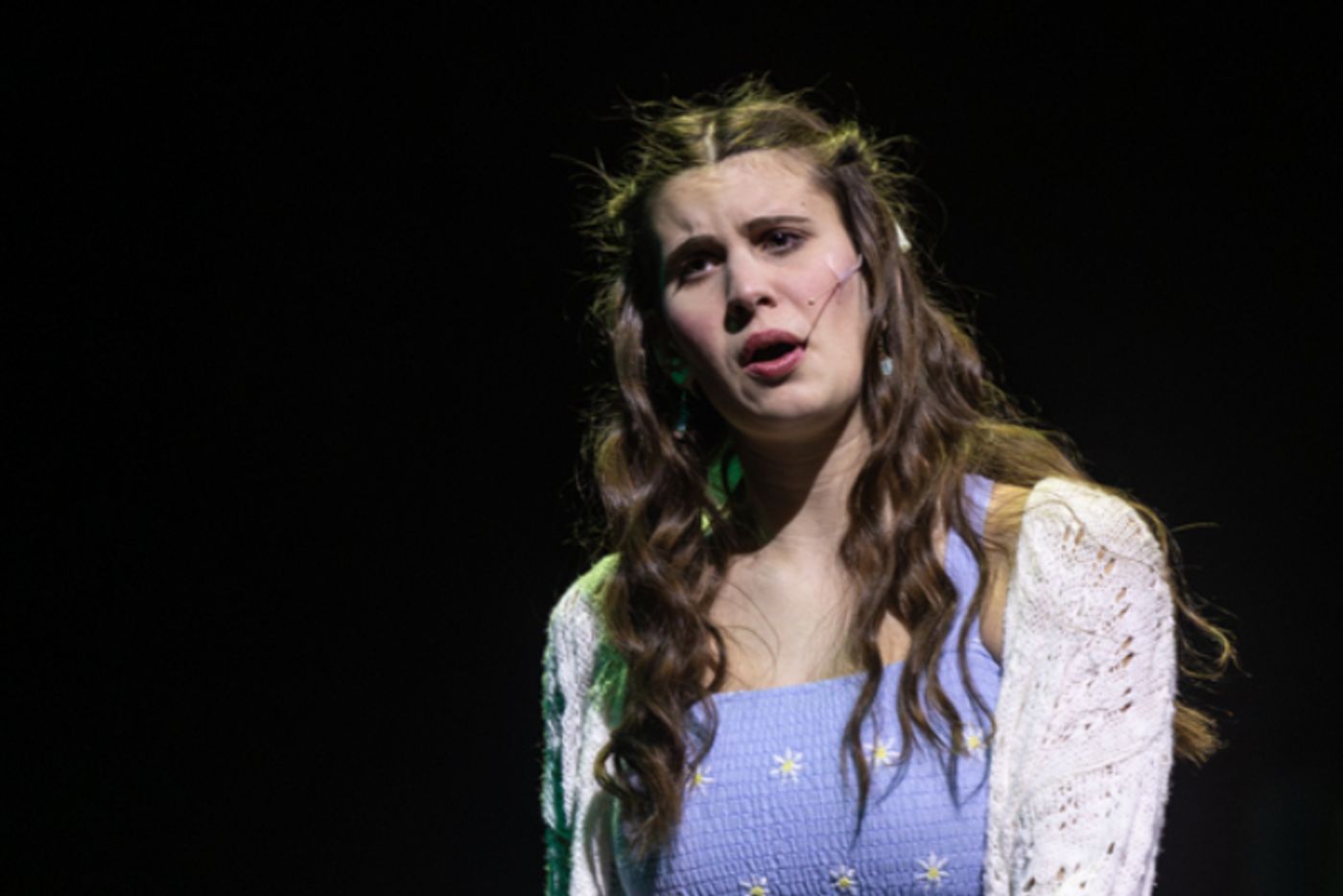 Photos: First look at Dublin Jerome Theatre Department presents ROALD DAHL’S MATIDA THE MUSICAL  Image