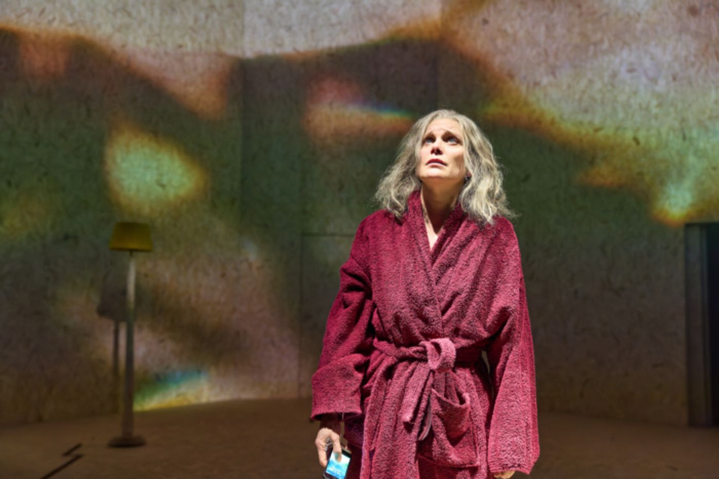 Photos: Harki Bhambra, Michelle Bonnard, and More in LIVING at Sheffield Theatres  Image