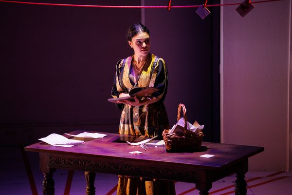 Photos: Hook & Eye Theater’s PLAN C Opens At The Tank — photo 9 of 10