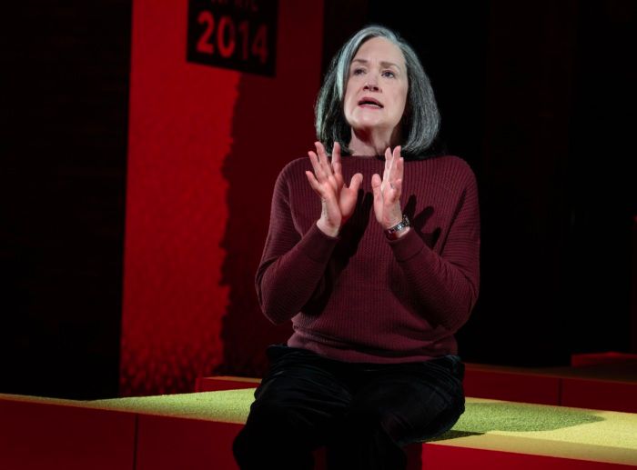 Photos: World Premiere of PUBLIC CHARGE at The Public — photo 6 of 13