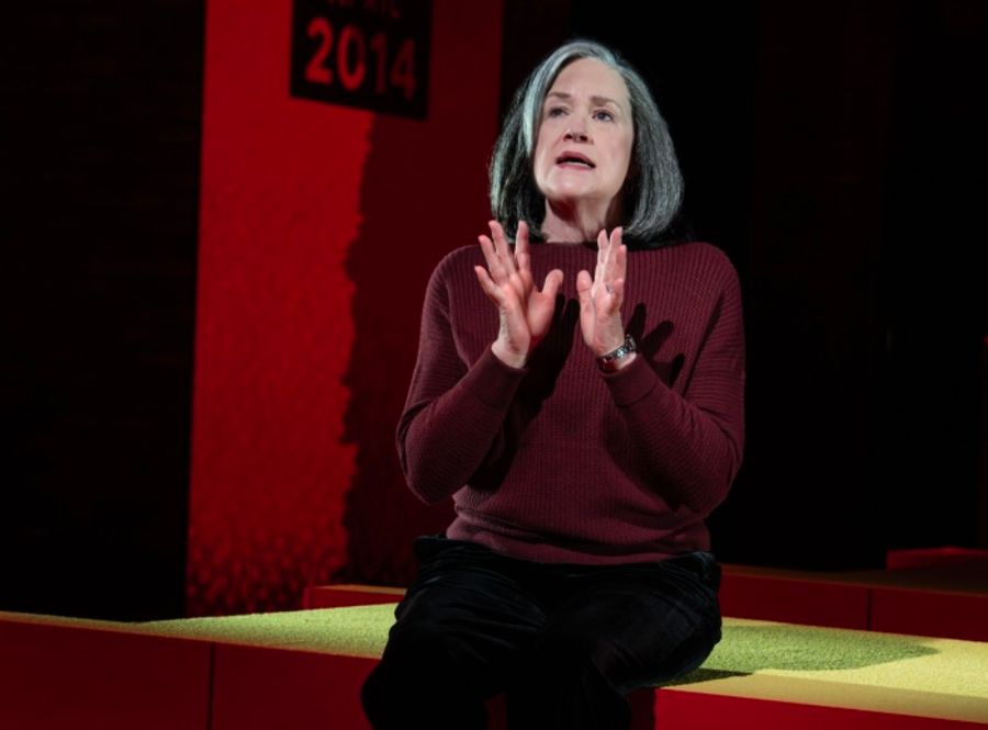 Photos: World Premiere of PUBLIC CHARGE at The Public Image