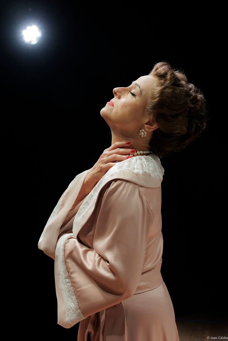MINHA ESTRELA DALVA Premieres in São Paulo, Blending Memory and Music in Tribute to a Brazilian Icon Image