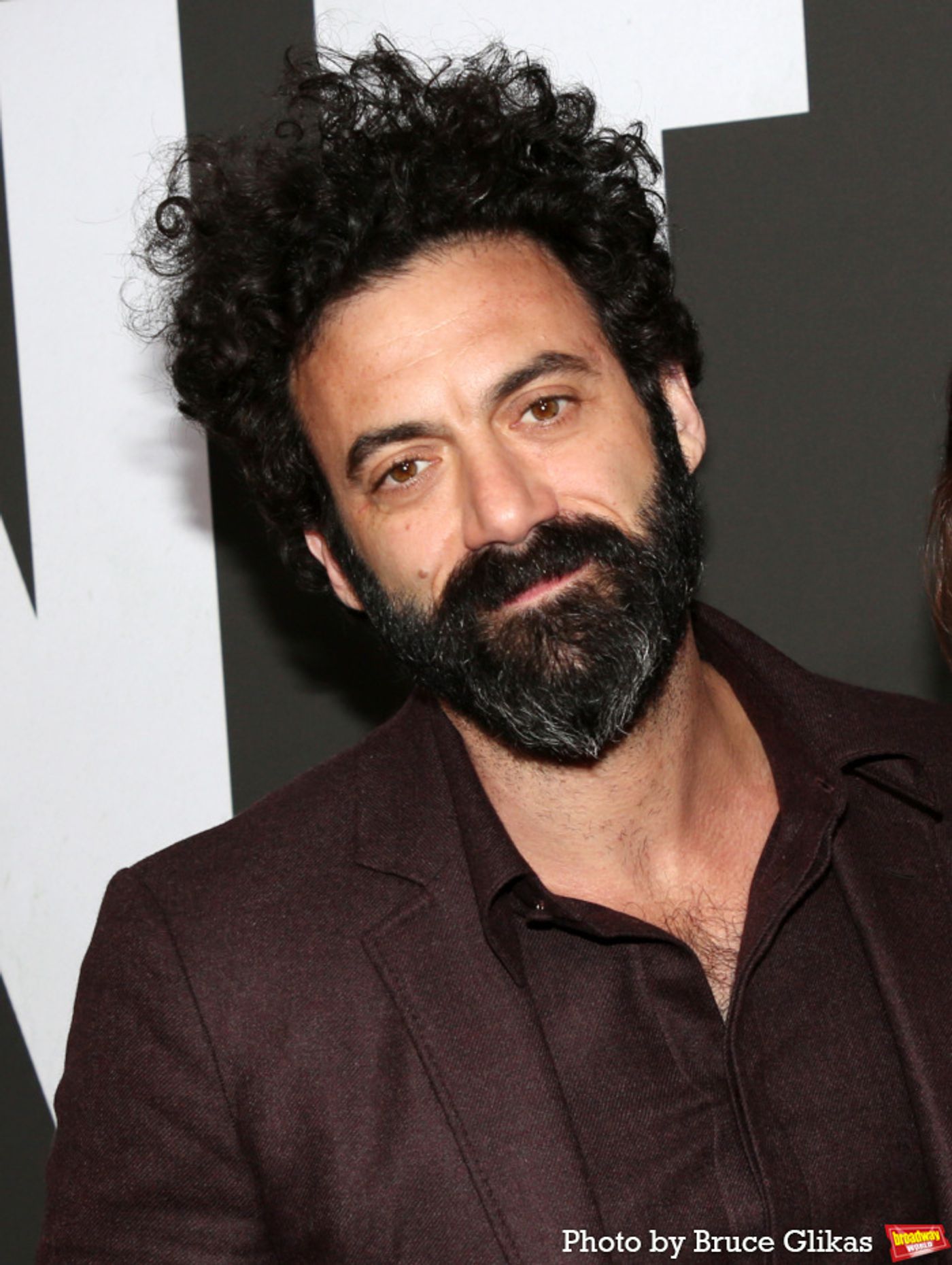 Photos: Stars Walk the Red Carpet on Opening Night of GIANT  Image