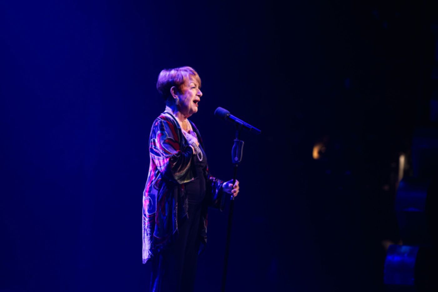 Photos & Video: BROADWAY BACKWARDS Raises Record $1,223,681- Watch Highlights  Image