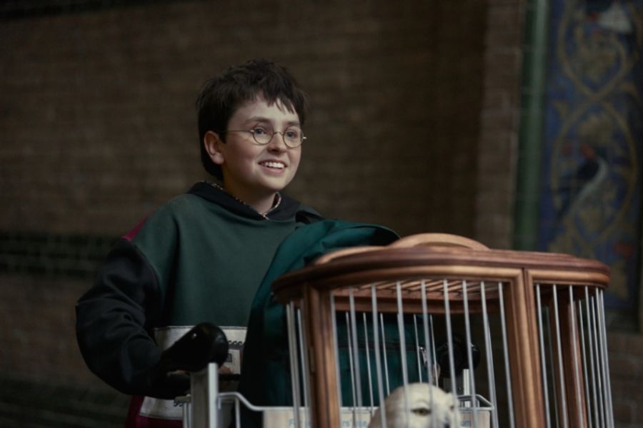 Video/Photos: See John Lithgow, Janet McTeer & More in Teaser for HARRY POTTER Series Image
