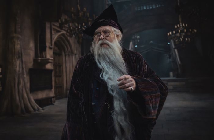 Video/Photos: See John Lithgow, Janet McTeer & More in Teaser for HARRY POTTER Series Image