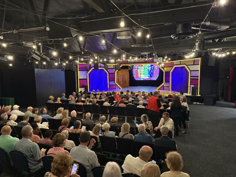 Review: BEEHIVE: A 60’S MUSICAL at Desert Theatreworks Keeps Audiences Stomping Along  Image