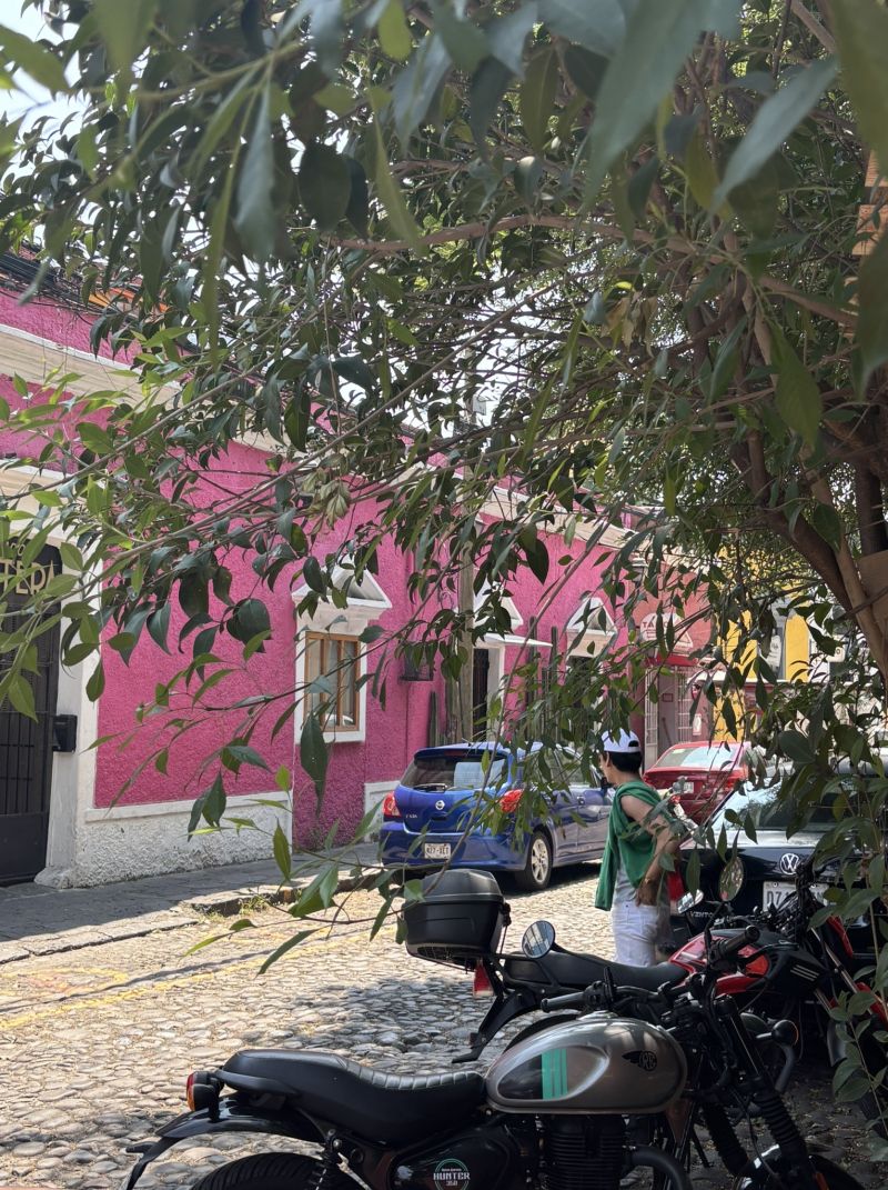 Student Blog: Catching Flights, and Feelings  Image