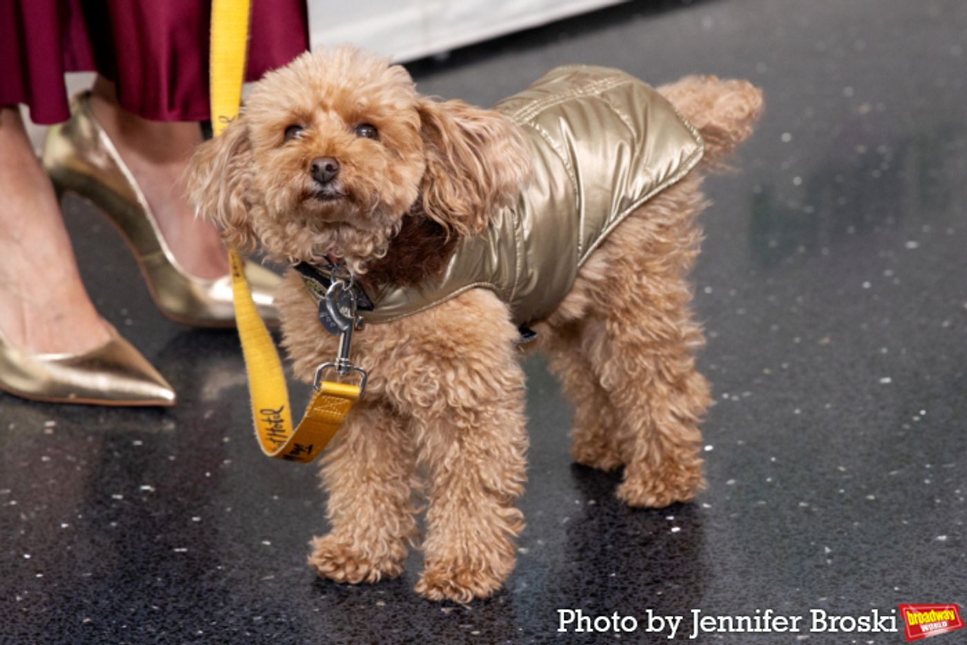Photos: PUBLIC CHARGE Celebrates Opening Night at the Public Theater  Image