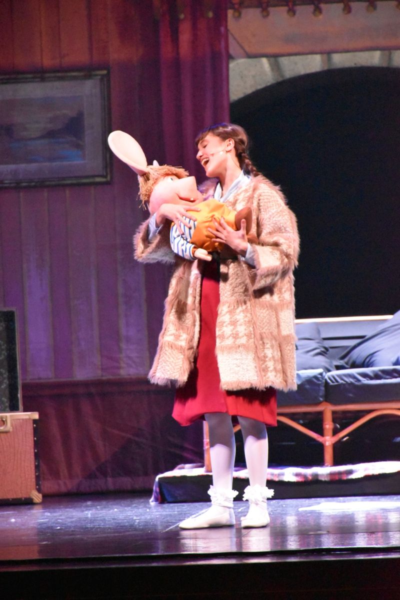 Review: TOPO GIGIO IL MUSICAL al TEATRO BRANCACCIO  Image