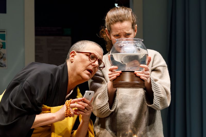 Review: MARY JANE at The Seattle Rep Image