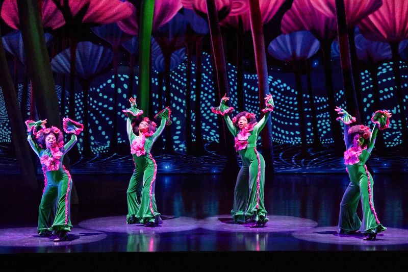 Review: THE WIZ at Marcus Performing Arts Center Image