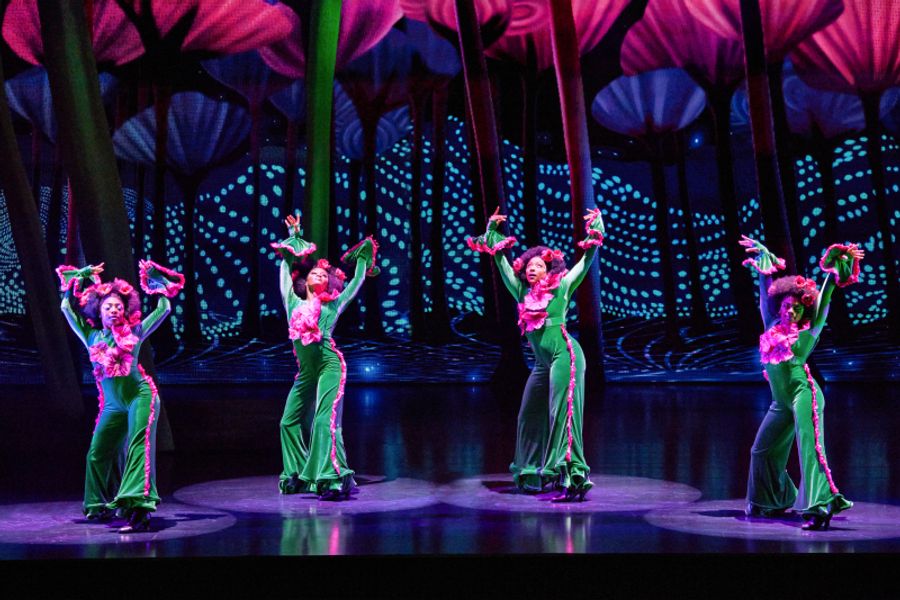 Review: THE WIZ at Marcus Performing Arts Center Image