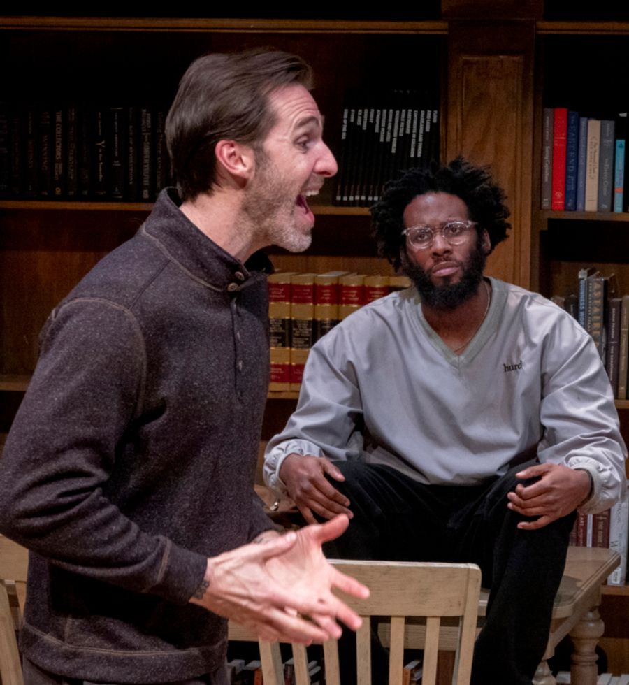 Photos: THE ALLY To Make Midwest Premiere At Theater Wit Image