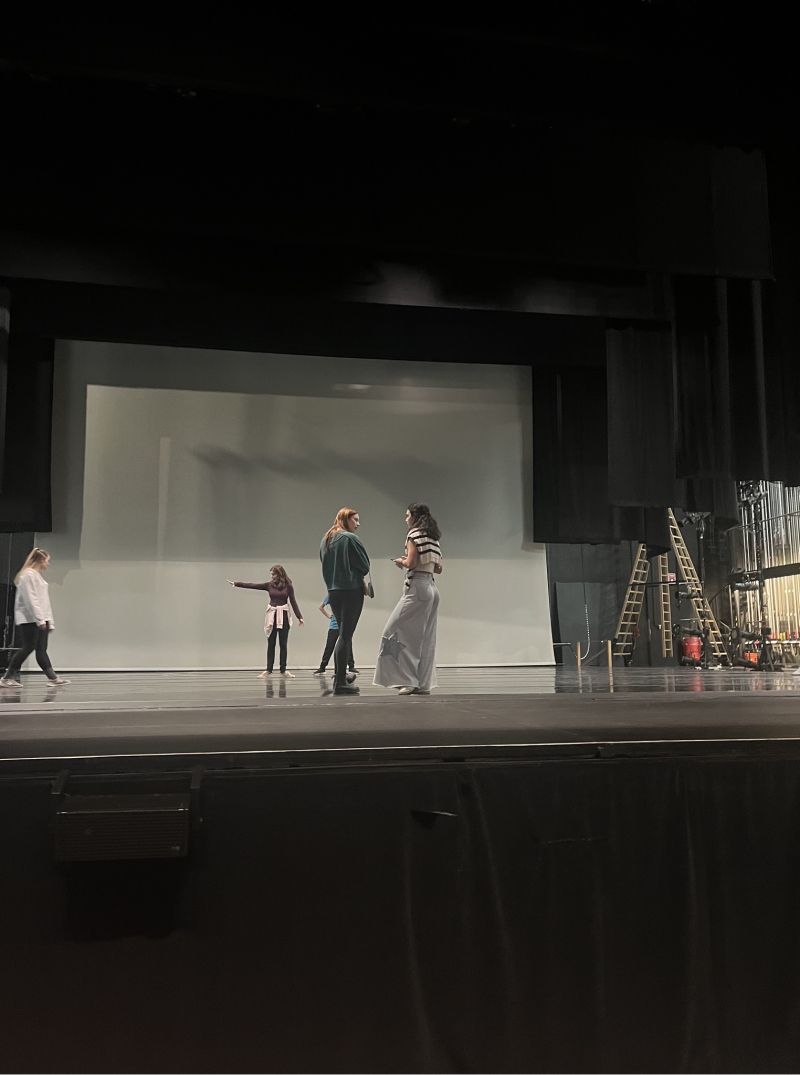 Student Blog: Too Risky? Do it Anyway.  Image