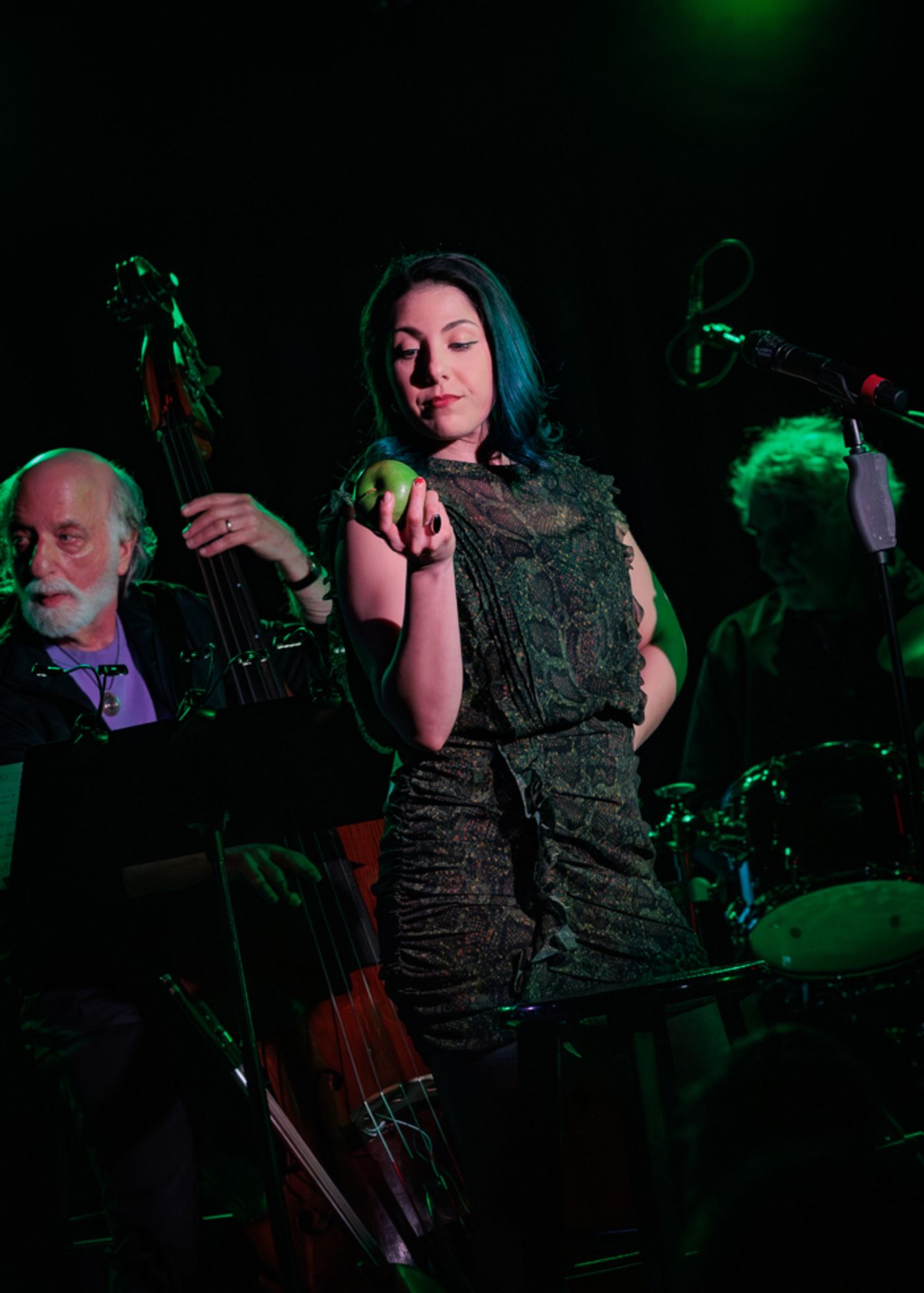 Photos: See High Susie Mosher's THE LINEUP - March 24 at the Green Room 42  Image