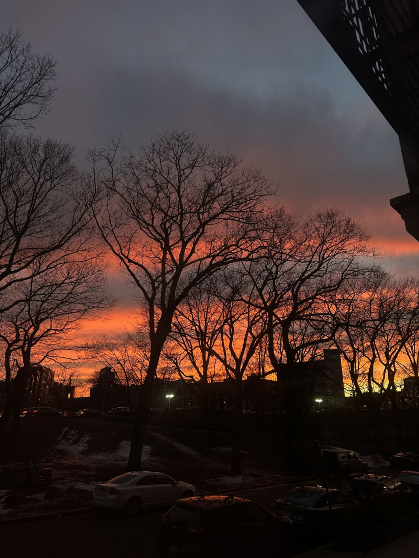 Student Blog: The Things That Make It Work  Image