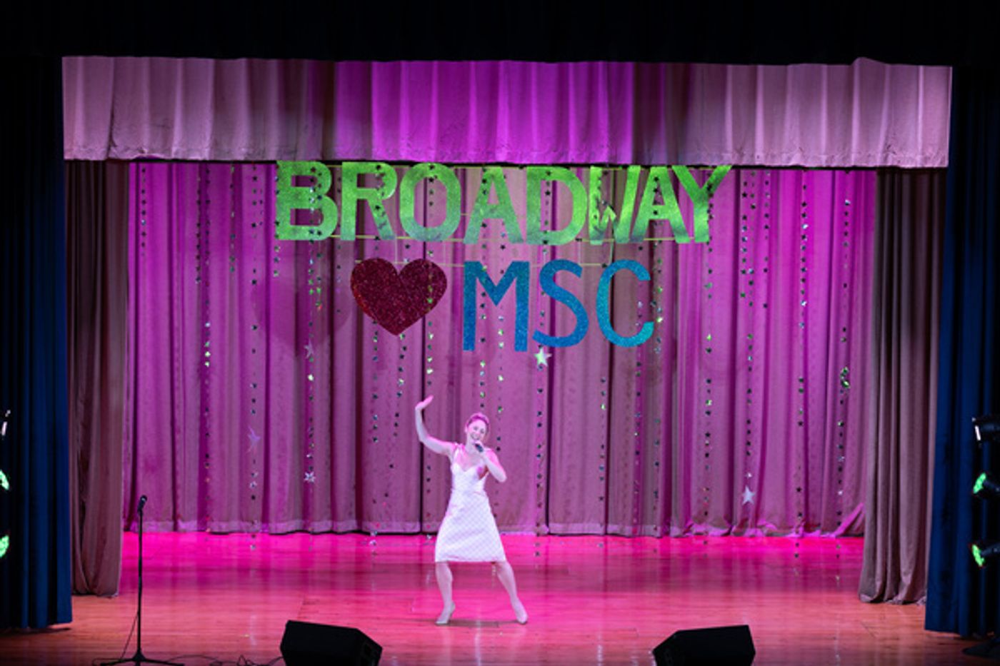 Photos: Broadway Stars Come Out In Support Of The Manhattan School For Children  Image