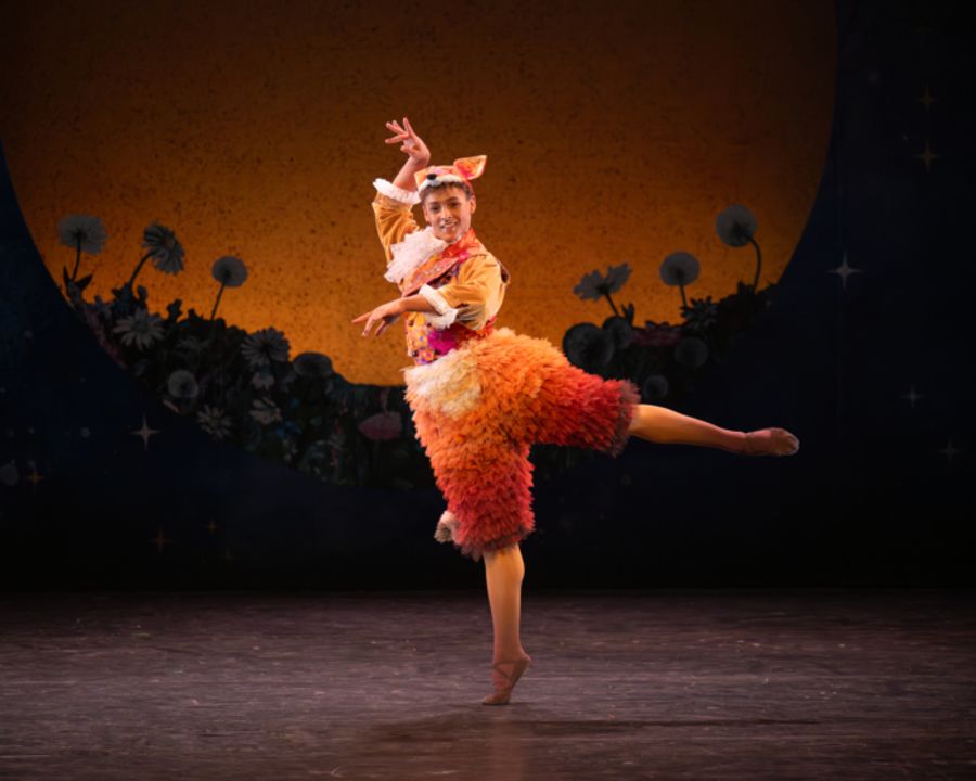 Photo: MY FIRST BALLET: CINDERELLA UK Tour First Look Image