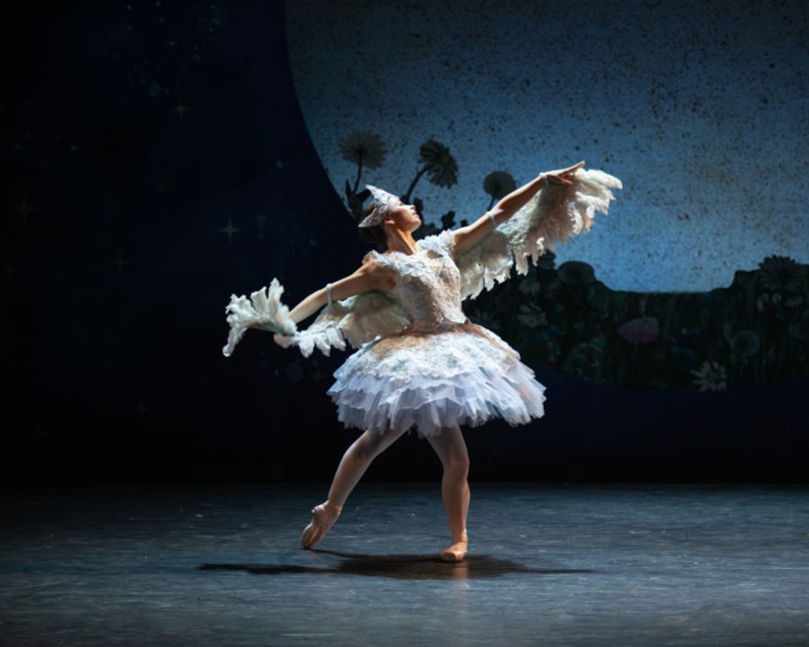 Photo: MY FIRST BALLET: CINDERELLA UK Tour First Look Image