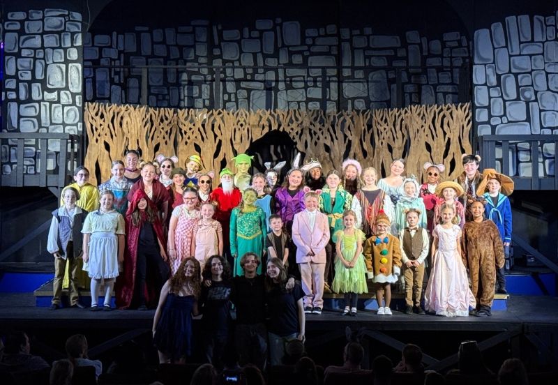 Review: SHREK THE MUSICAL JR at The Royal Theatre in Benton  Image