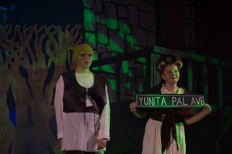 Review: SHREK THE MUSICAL JR at The Royal Theatre in Benton  Image