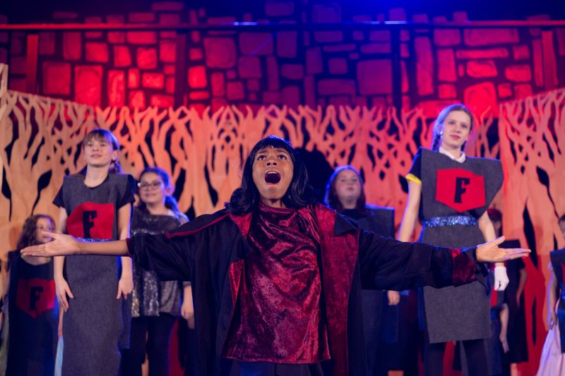 Review: SHREK THE MUSICAL JR at The Royal Theatre in Benton  Image