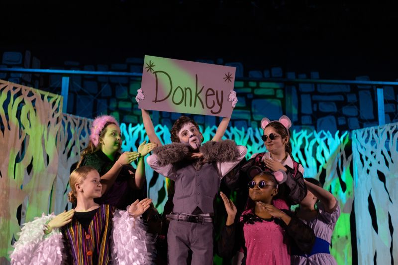 Review: SHREK THE MUSICAL JR at The Royal Theatre in Benton  Image