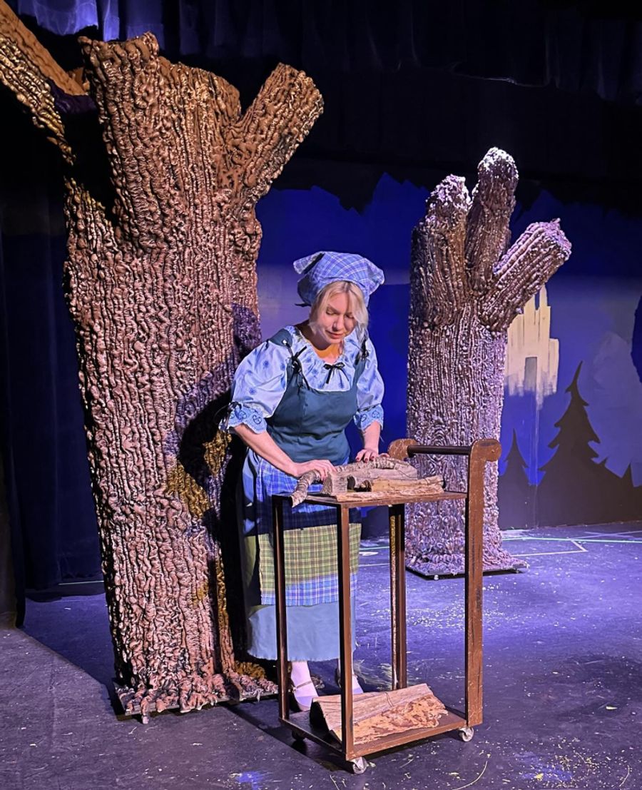 Review: RODGERS + HAMMERSTEIN'S CINDERELLA at Theatre 29 Image