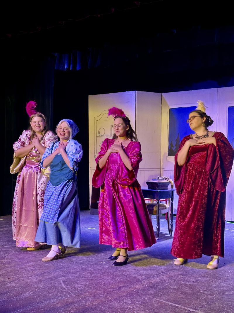 Review: RODGERS + HAMMERSTEIN'S CINDERELLA at Theatre 29  Image