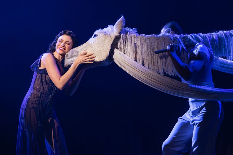 Review: WATER FOR ELEPHANTS at Proctors Image