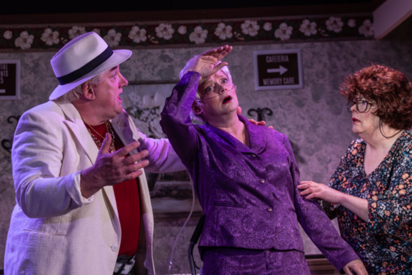 Photos: First look at The Alcove Dinner Theatre and Bruce Jacklin & Company’s FOUR OLD BROADS  Image