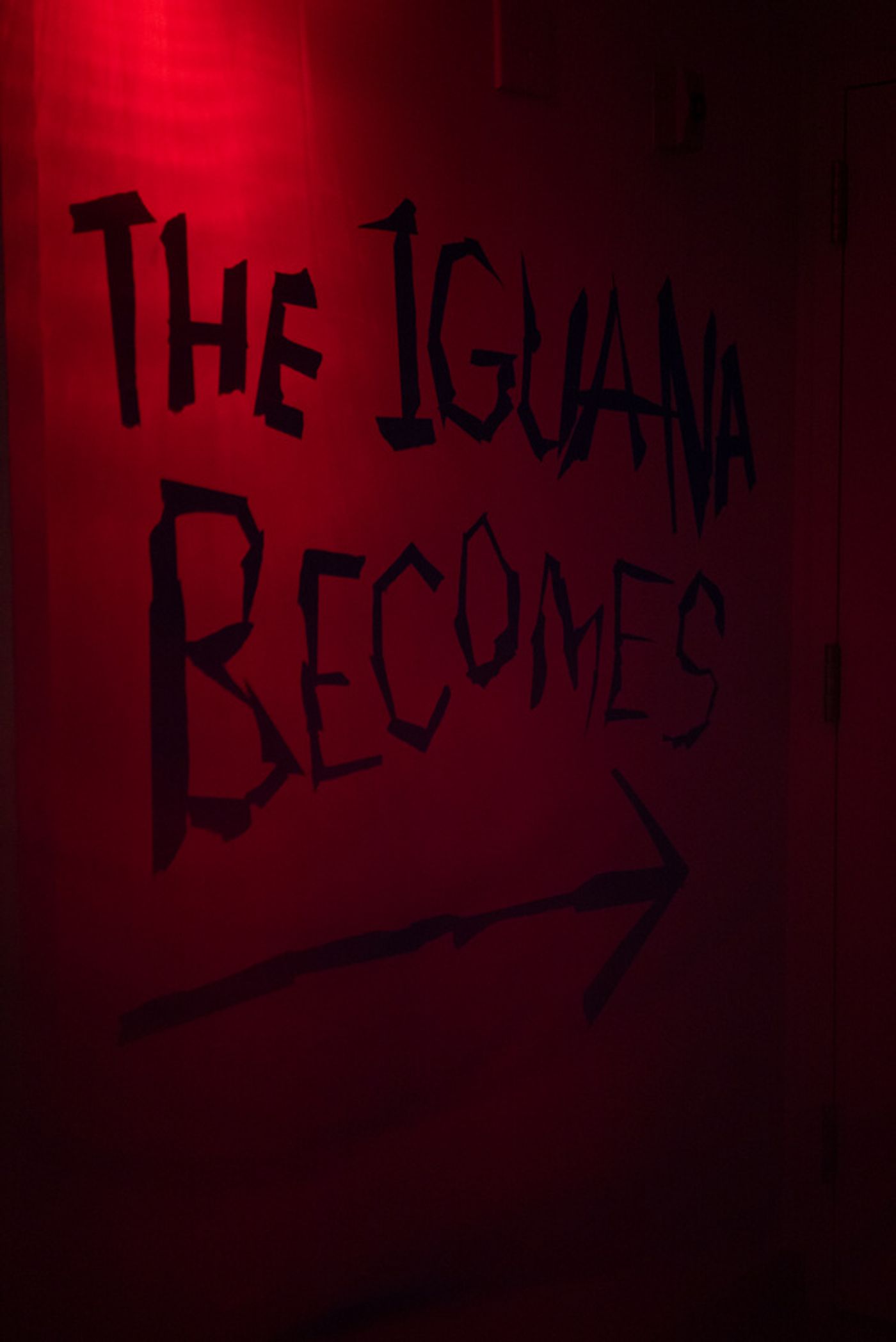 Photos: THE IGUANA BECOMES MARCO Completes World Premiere Run at La MaMa  Image