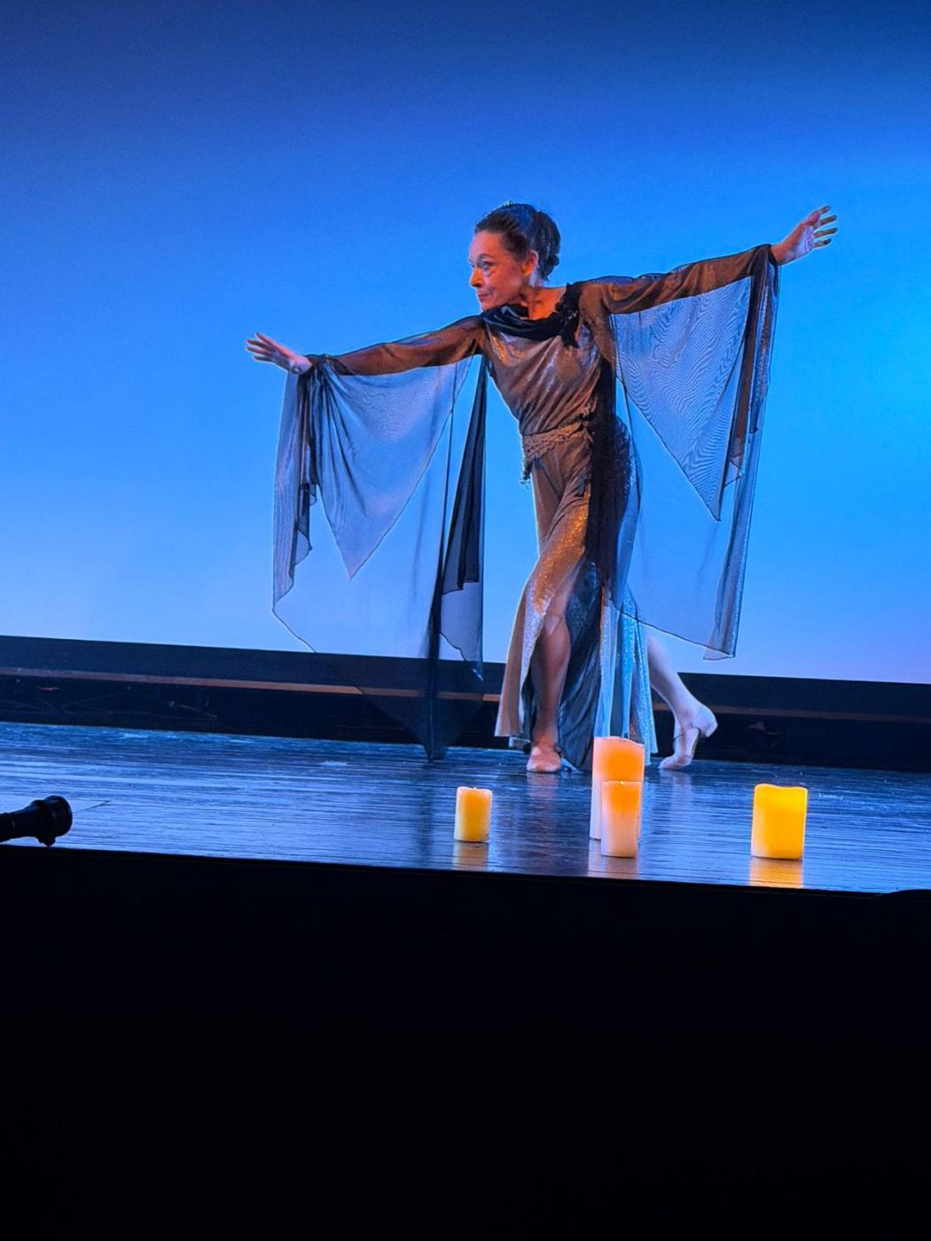 Review: GRICEL - A TANGO STORY at Espace Lumen  Image