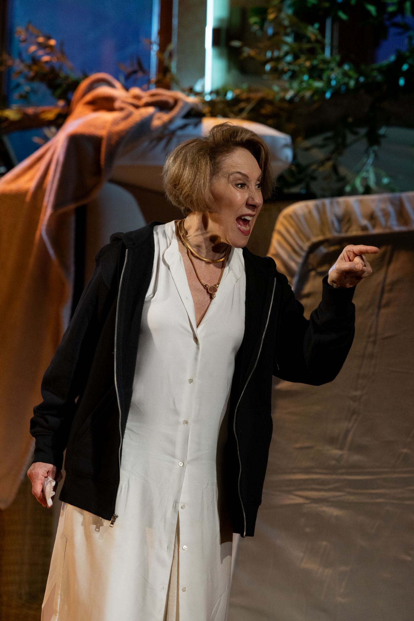 Photos: THE ZIONISTS: A FAMILY STORM at Colony Theatre  Image