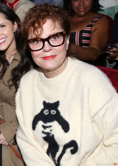 Susan Sarandon Photo