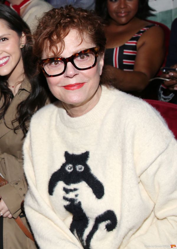 Susan Sarandon Photo