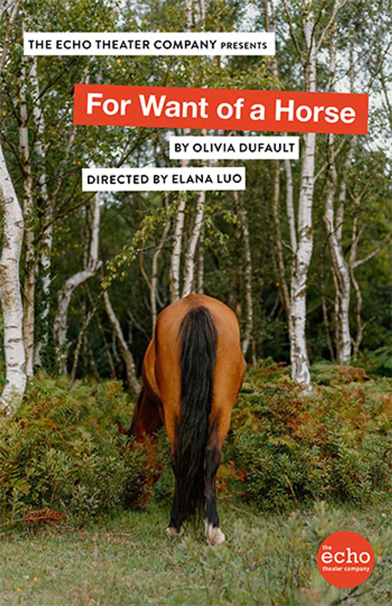 Interview: Playwright Olivia Dufault of FOR WANT OF A HORSE Image